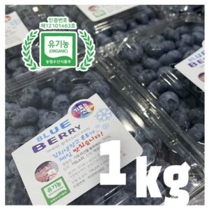 유기농 블루베리 생과 1키로