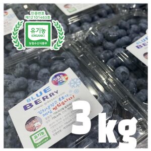 유기농 블루베리 생과 3키로