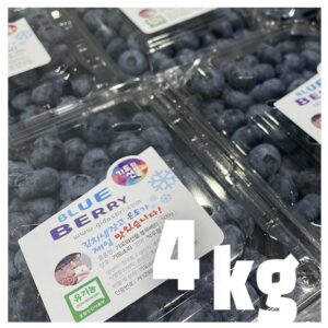 유기농 블루베리 생과 4키로