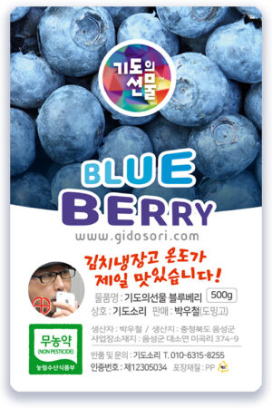 블루베리 생과 1키로<6월 출하>