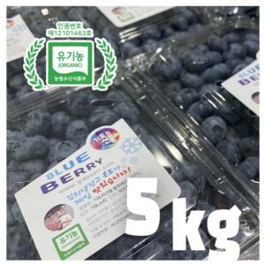 유기농 블루베리 생과 5키로