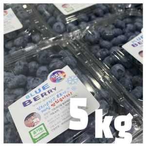 유기농 블루베리 생과 5키로