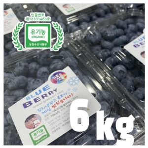 유기농 블루베리 생과 6키로