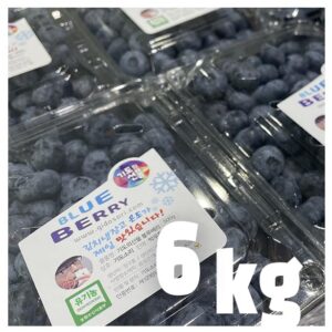 유기농 블루베리 생과 6키로