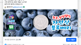 블루베리 생과 페북 예약 접수중
