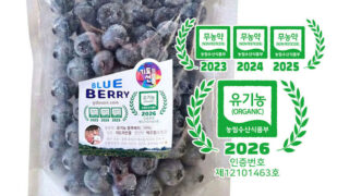 블루베리 냉동 판매시작